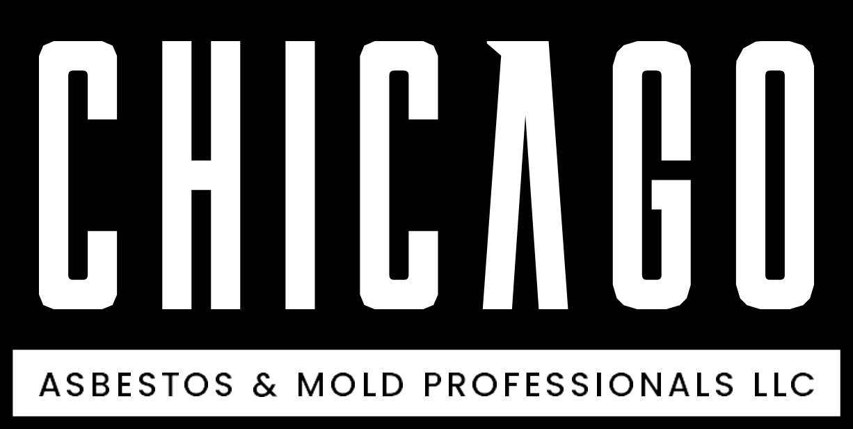 Avatar for Chicago Asbestos & Mold Removal Professionals