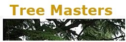 Tree Masters, Inc. logo