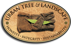 Avatar for Urban Tree & Landscape