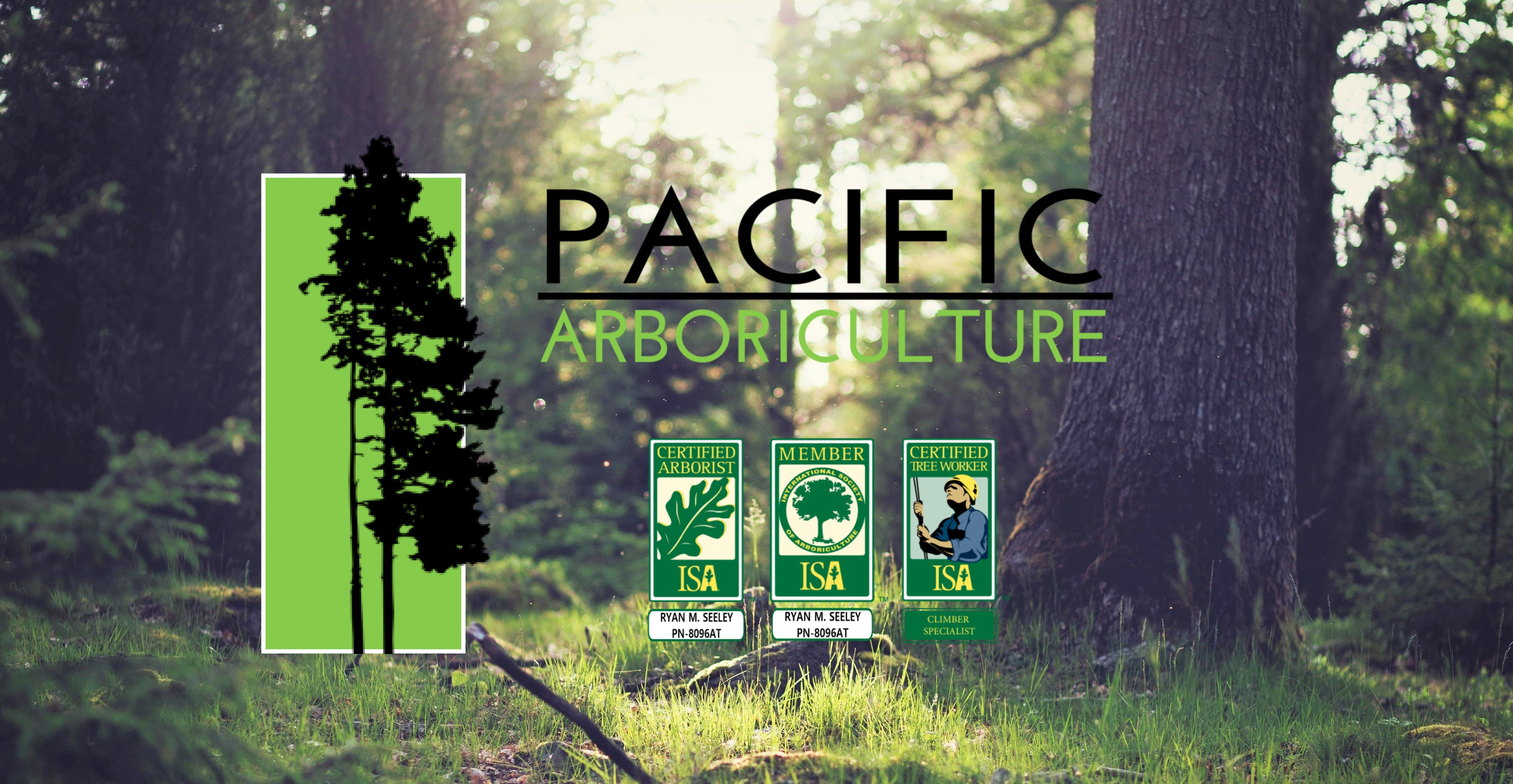 Avatar for Pacific Arboriculture LLC