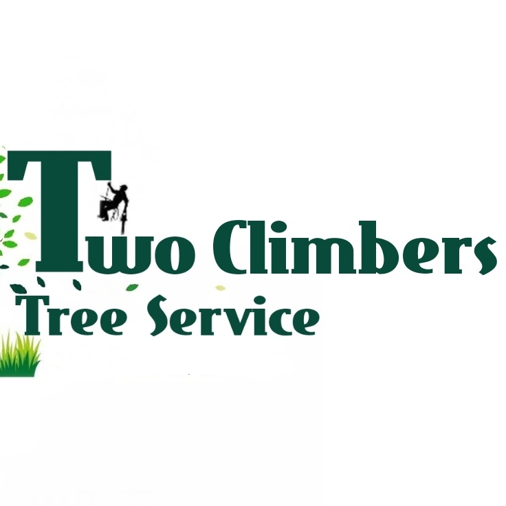 Avatar for Two Climbers Tree Service