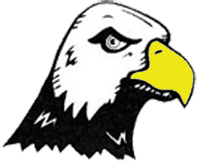 Eagle Eye Painting logo