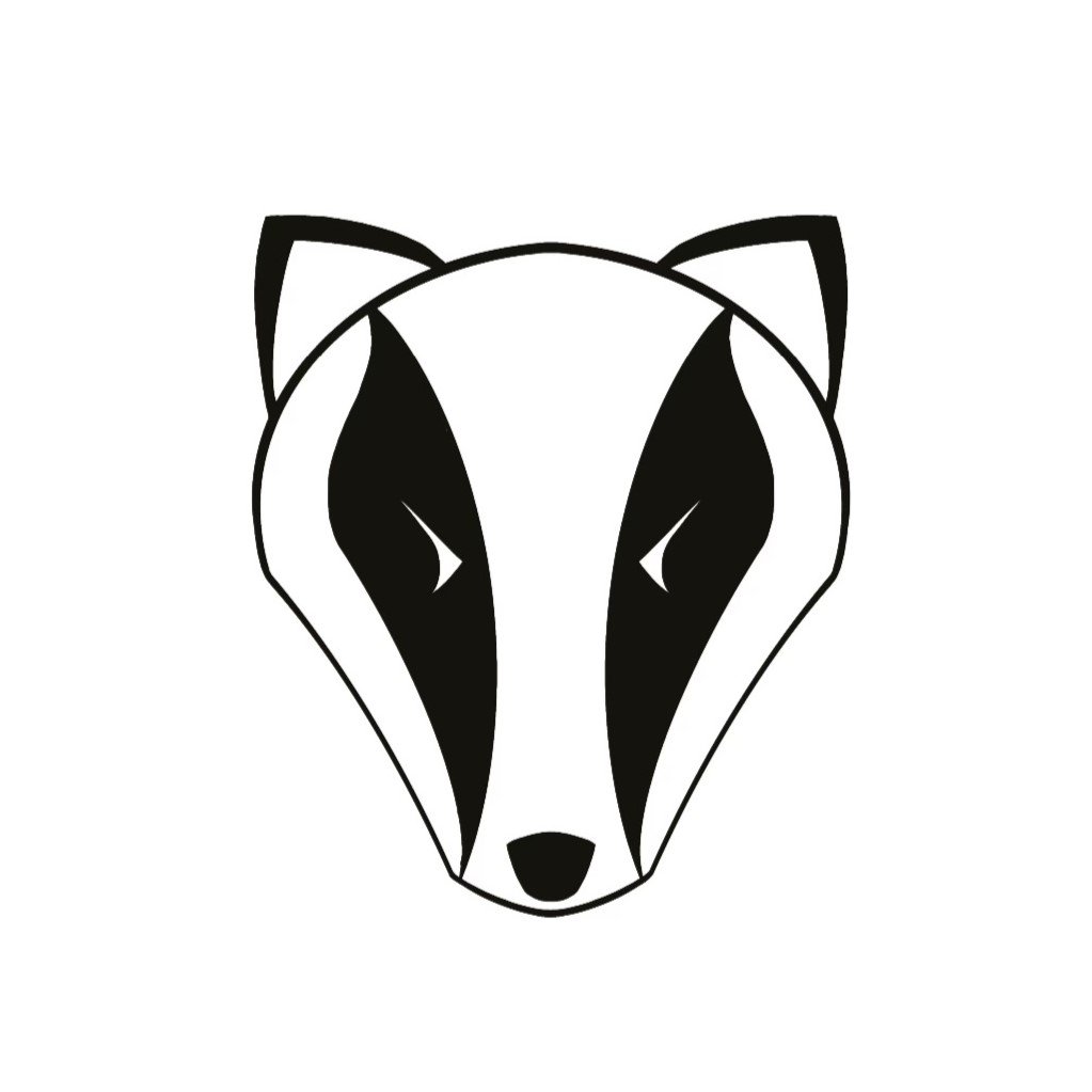 Avatar for Badger Drains LLC