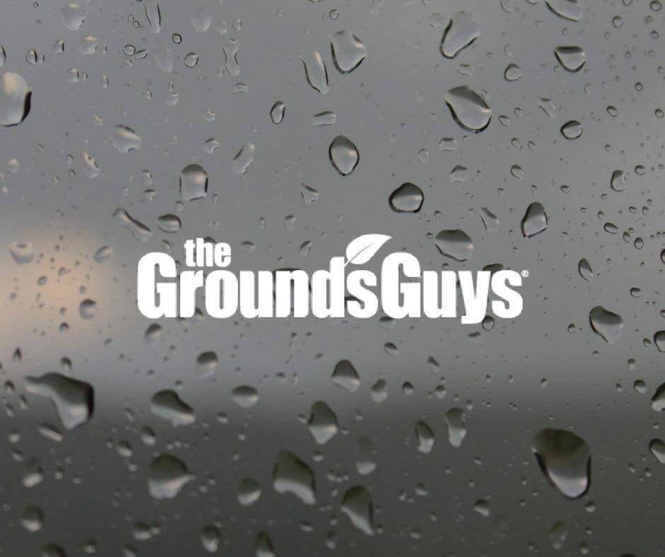 Avatar for The Grounds Guys of Virginia Beach
