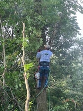 Logo for J&R Tree Services And Landscaping LLC