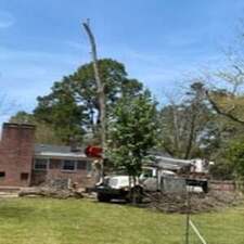 Logo for Kay's Tree Service and Pressure Washing LLC