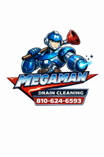 Avatar for Mega Man Drain Cleaning