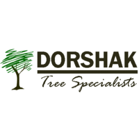 Avatar for Dorshak Tree Specialist