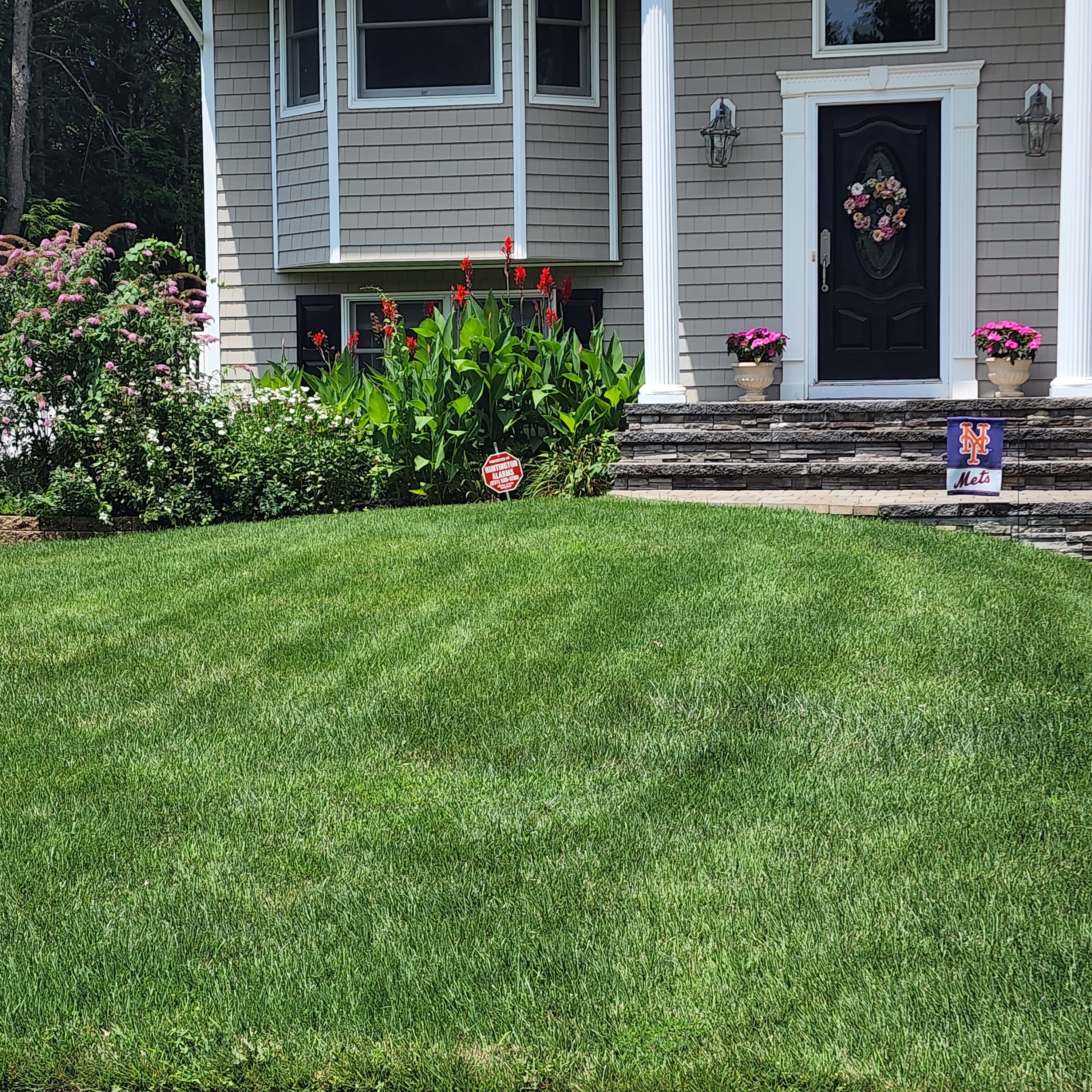 Avatar for Ivan Landscape