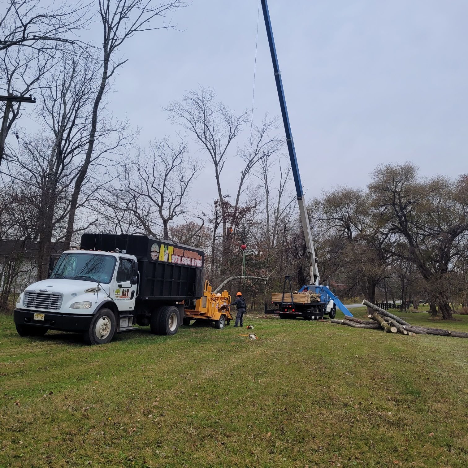 Avatar for A&T Tree Services LLC