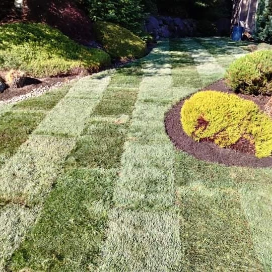 Avatar for Cruz Landscaping Services LLC