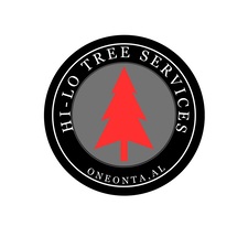 Avatar for Hi-Lo Energy Services LLC