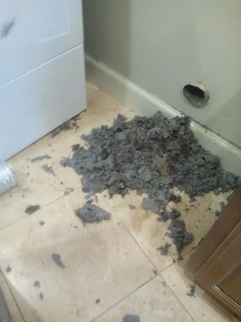 Avatar for All Day Chimney & Dryer Vent Cleaning Service
