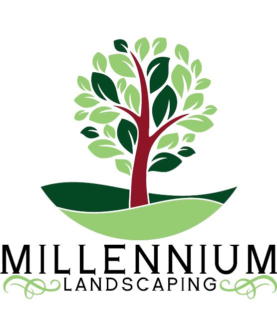 Avatar for MILLENNIUM LANDSCAPING LLC