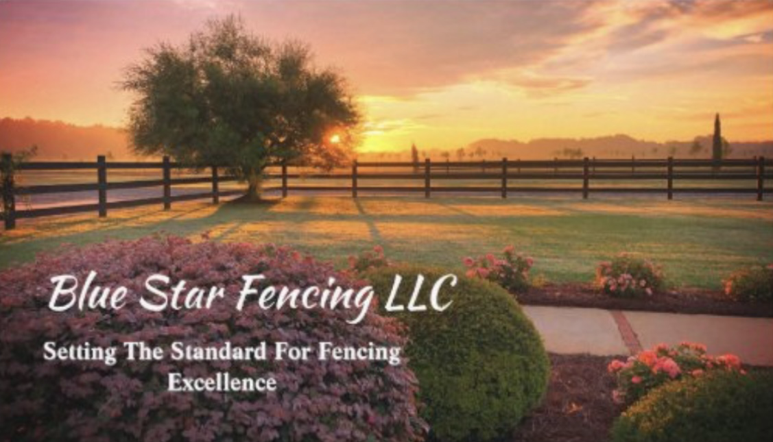 Avatar for Blue Star Fencing