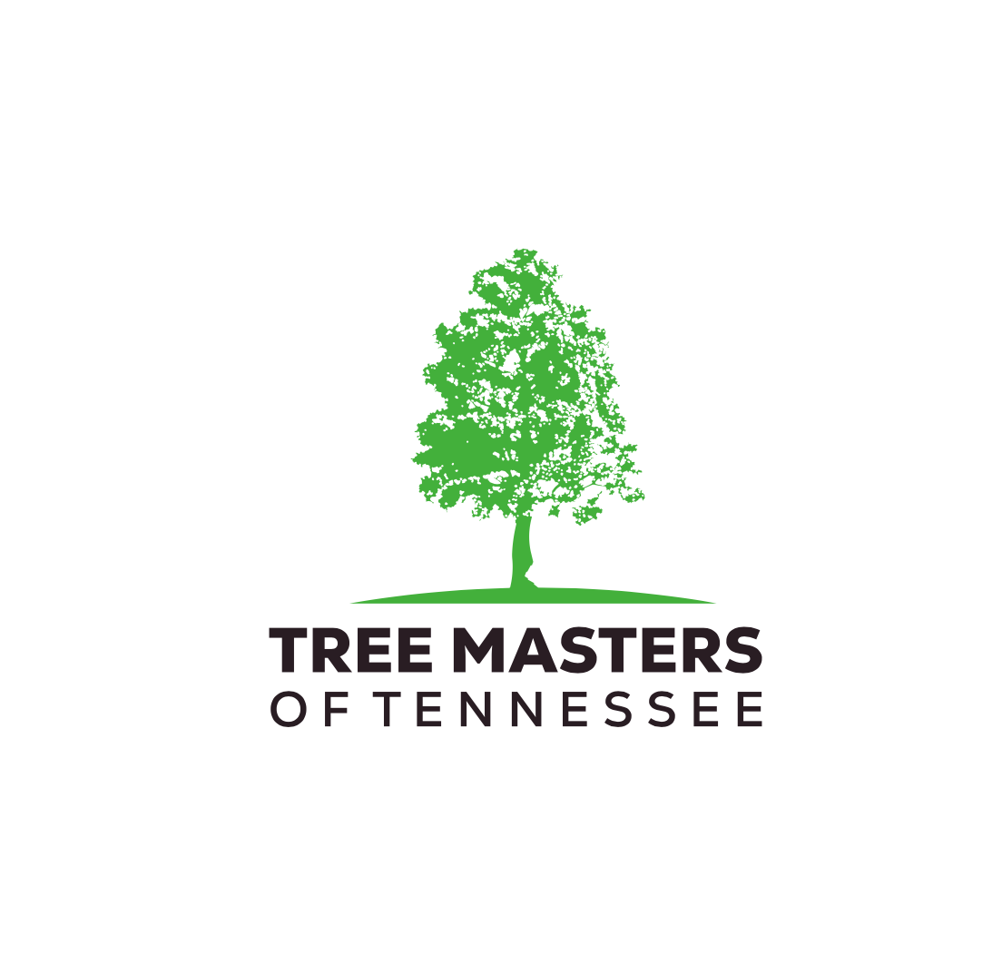 Tree Masters of Tennessee LLC logo