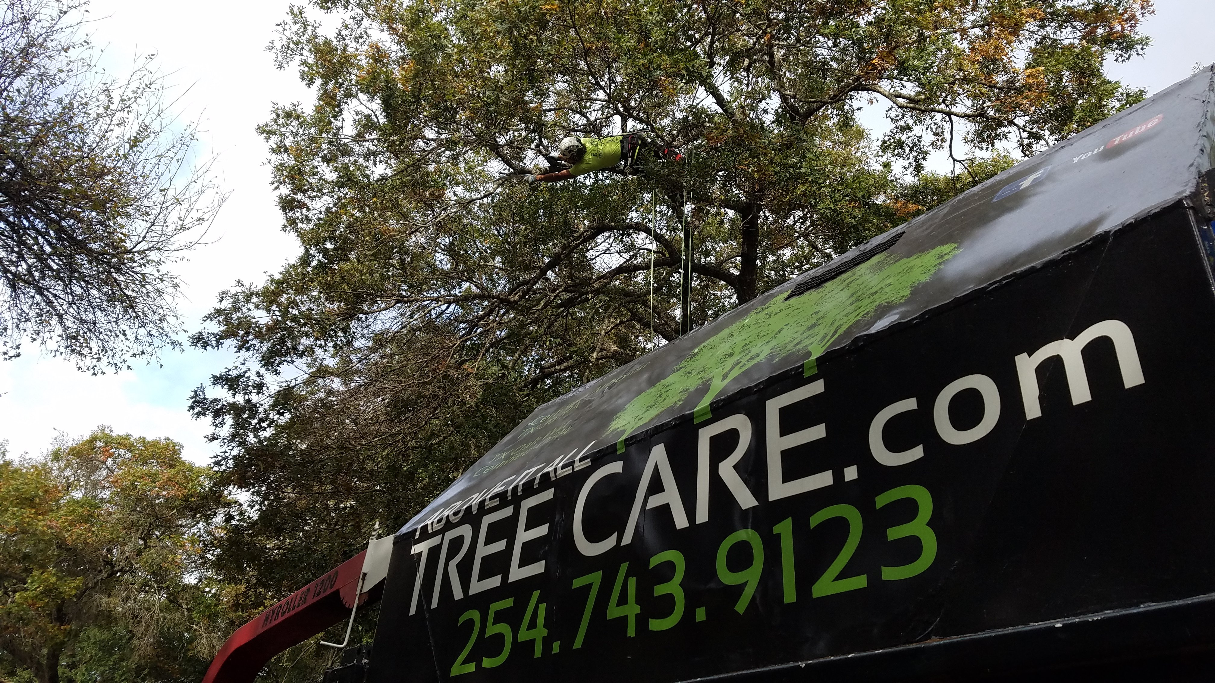 Avatar for Above It All Tree Care