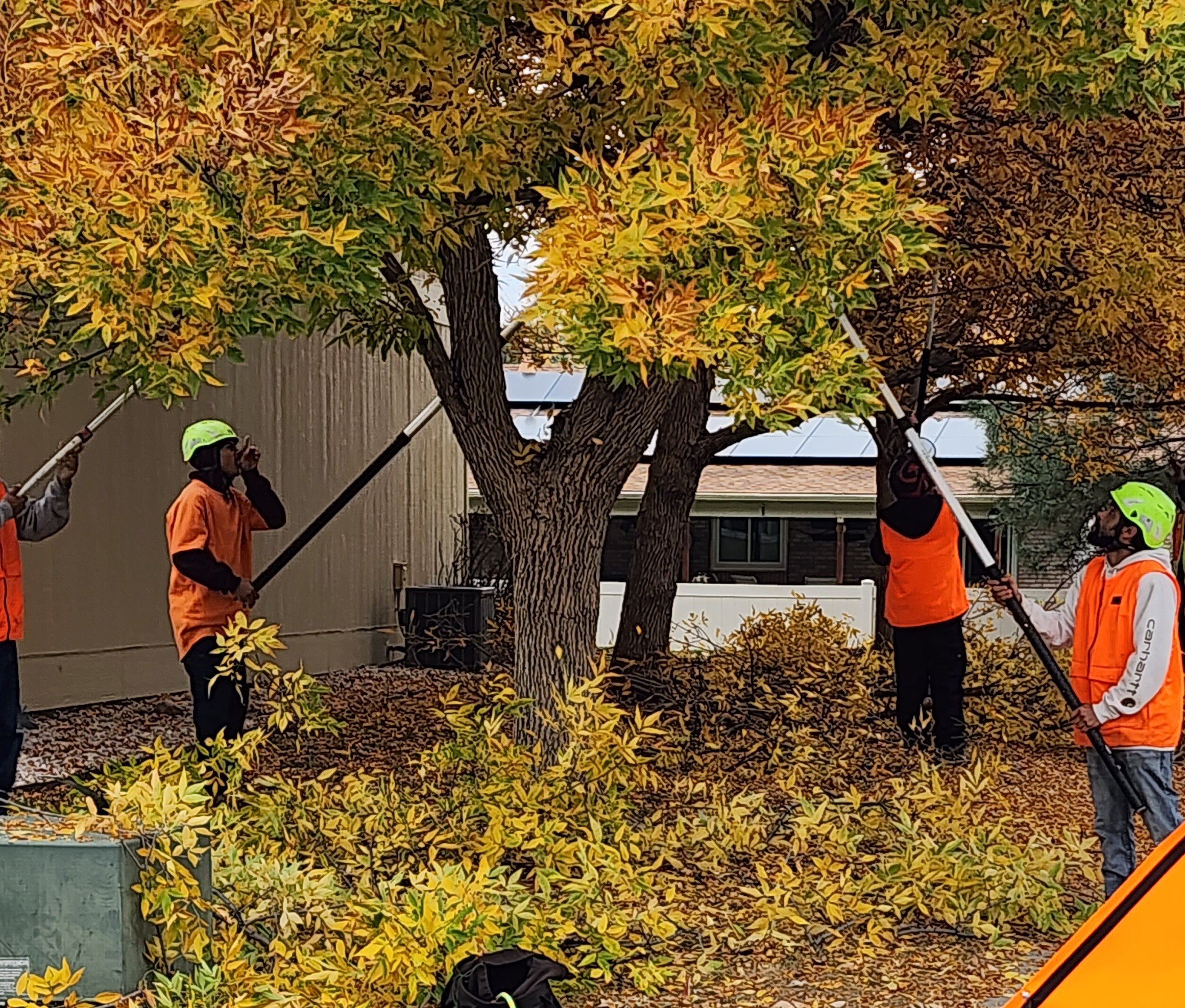 Avatar for Limbs And Things LLC