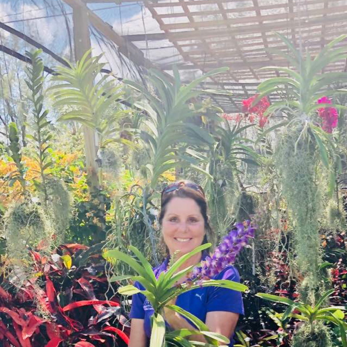 Avatar for Butterflies Are Free Landscaping and Design