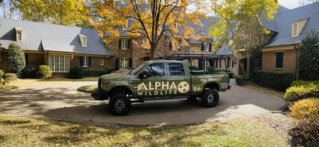 Avatar for Alpha Wildlife