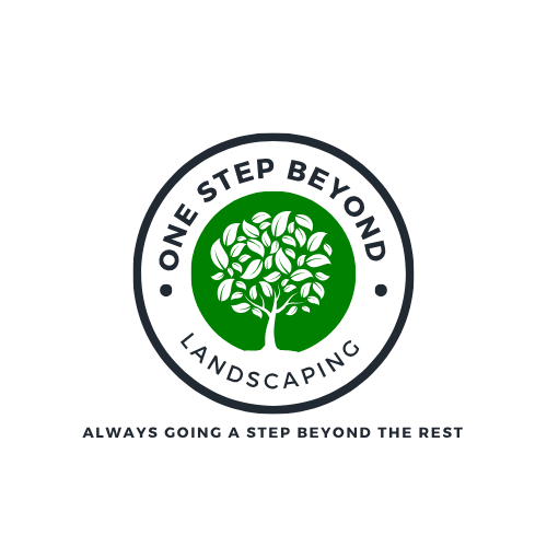 Avatar for One Step Beyond LLC