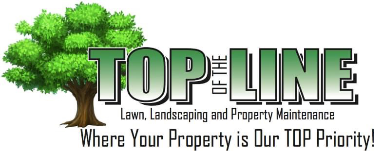 Avatar for Top of the Line Lawn Landscaping and Property Maintenance L.L.C.