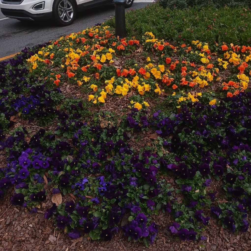 Avatar for 20/20 outdoors