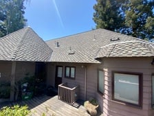 Avatar for BIRD DOG GENERAL CONSTRUCTION LLC