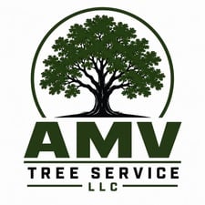 Avatar for AMV TREE SERVICE LLC
