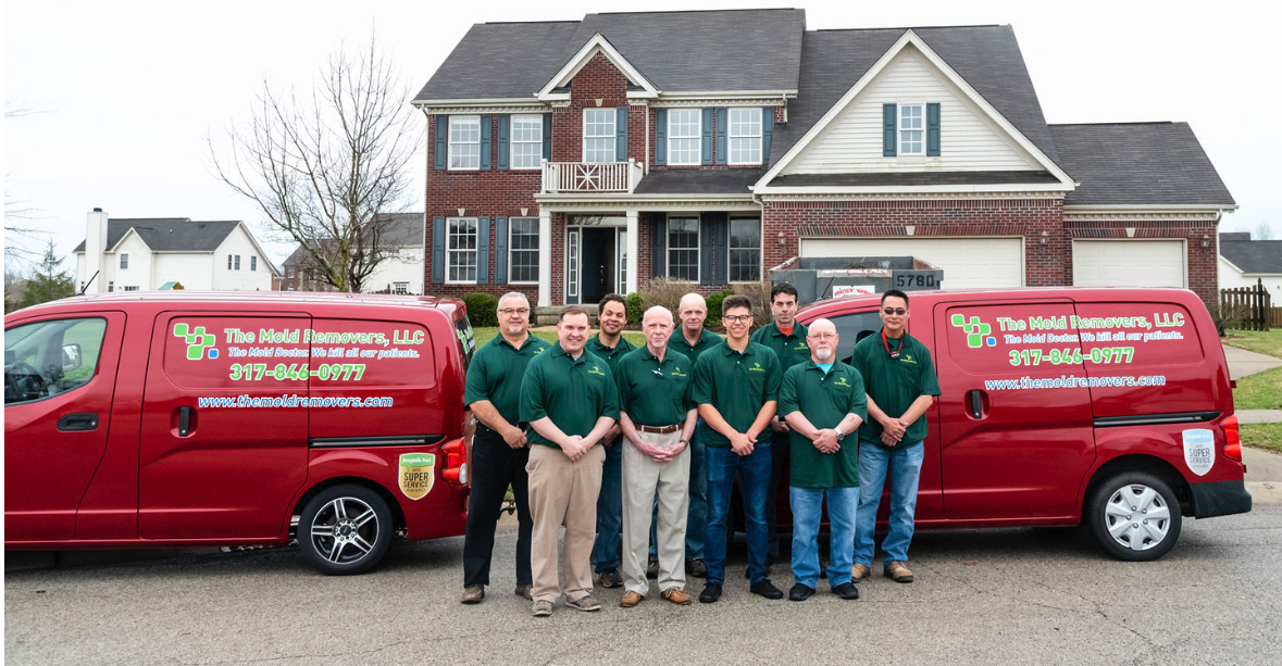 Avatar for The Mold Removers LLC