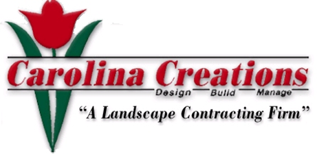 Avatar for Carolina Creations Pools & Landscapes Inc