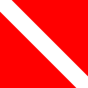 Logo for Scuba Steve Premier Handyman and Remodeling Services