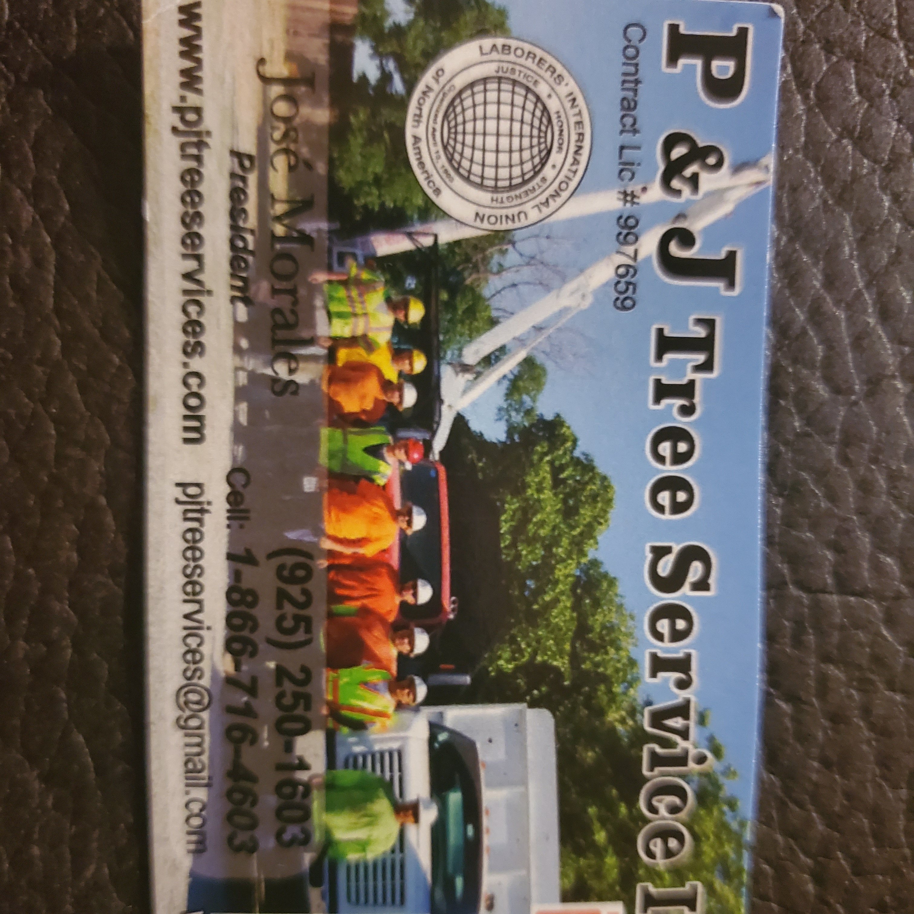 Avatar for P&J Tree Service Inc