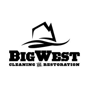 Avatar for Big West Carpet Cleaning