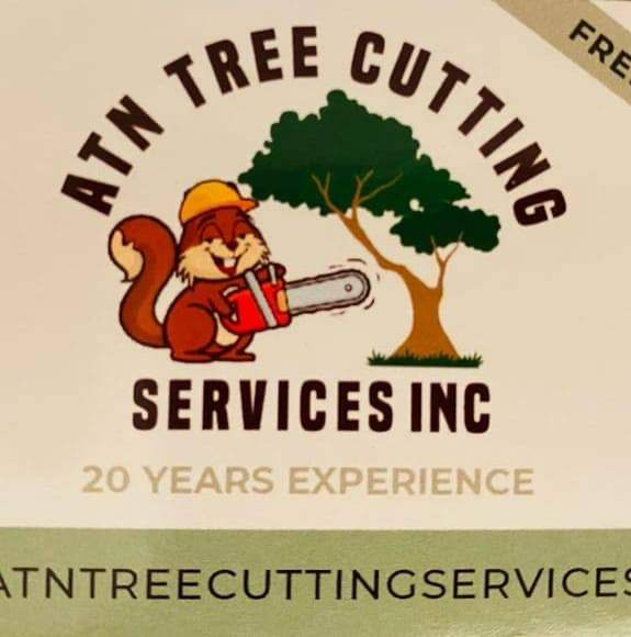 Avatar for ATN TREE CUTTING SERVICES INC