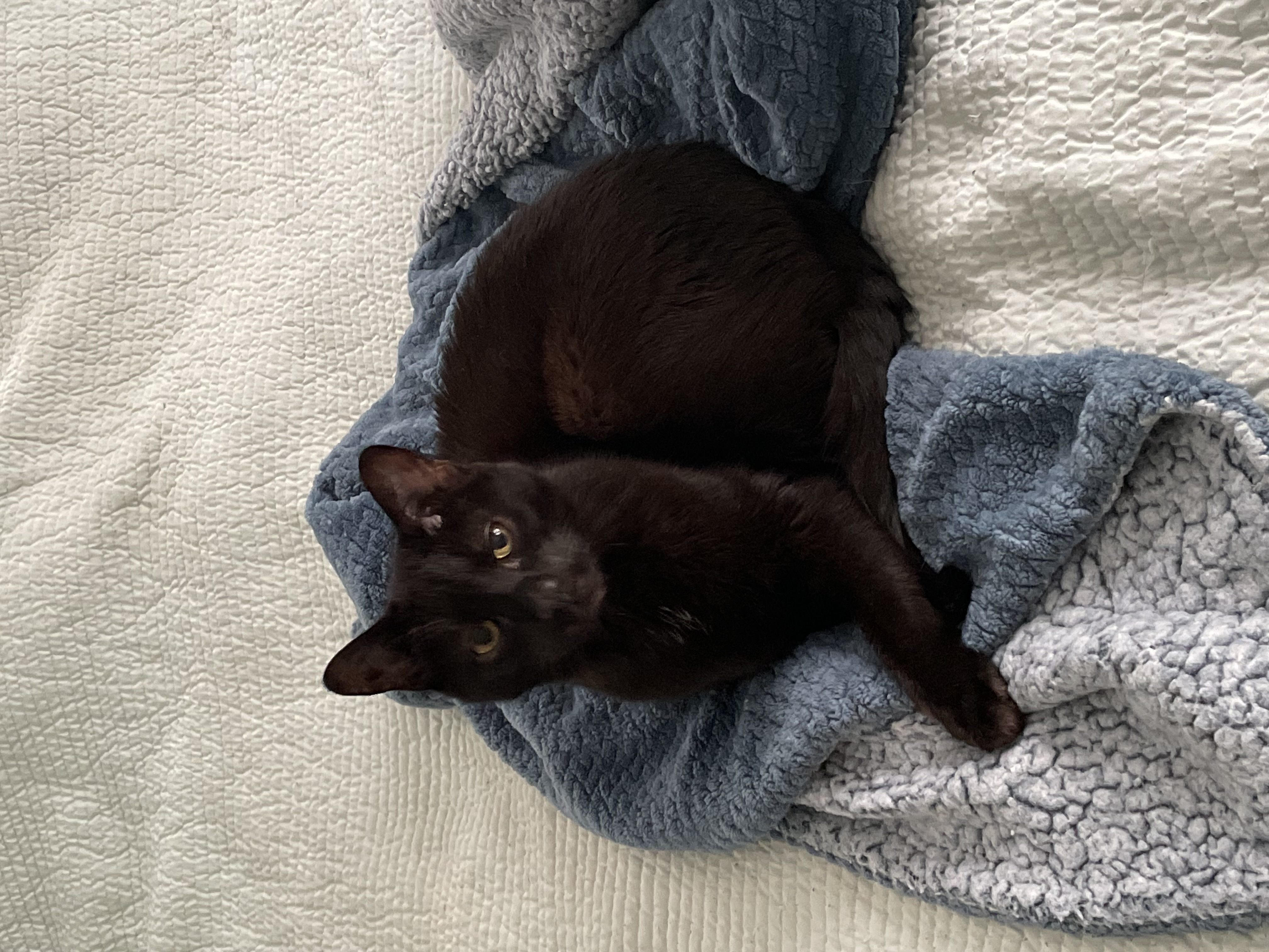 Avatar for Michael Faria Plumbing