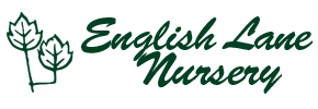 Avatar for ENGLISH LANE NURSERY