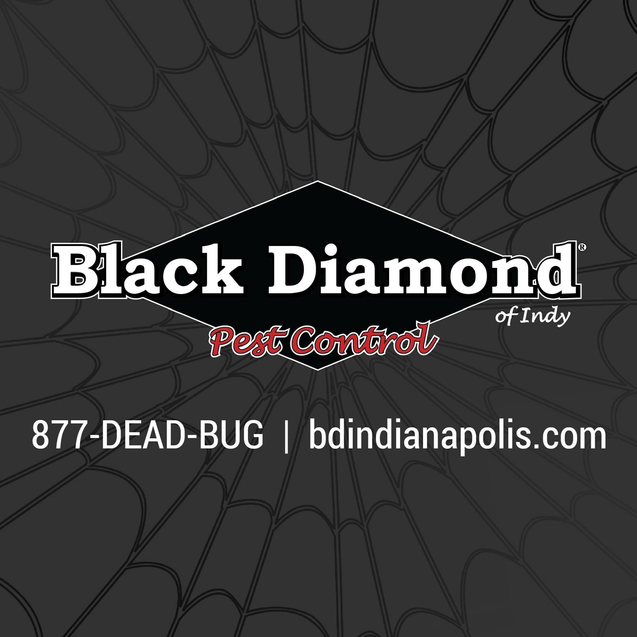 Avatar for Black Diamond of Indianapolis