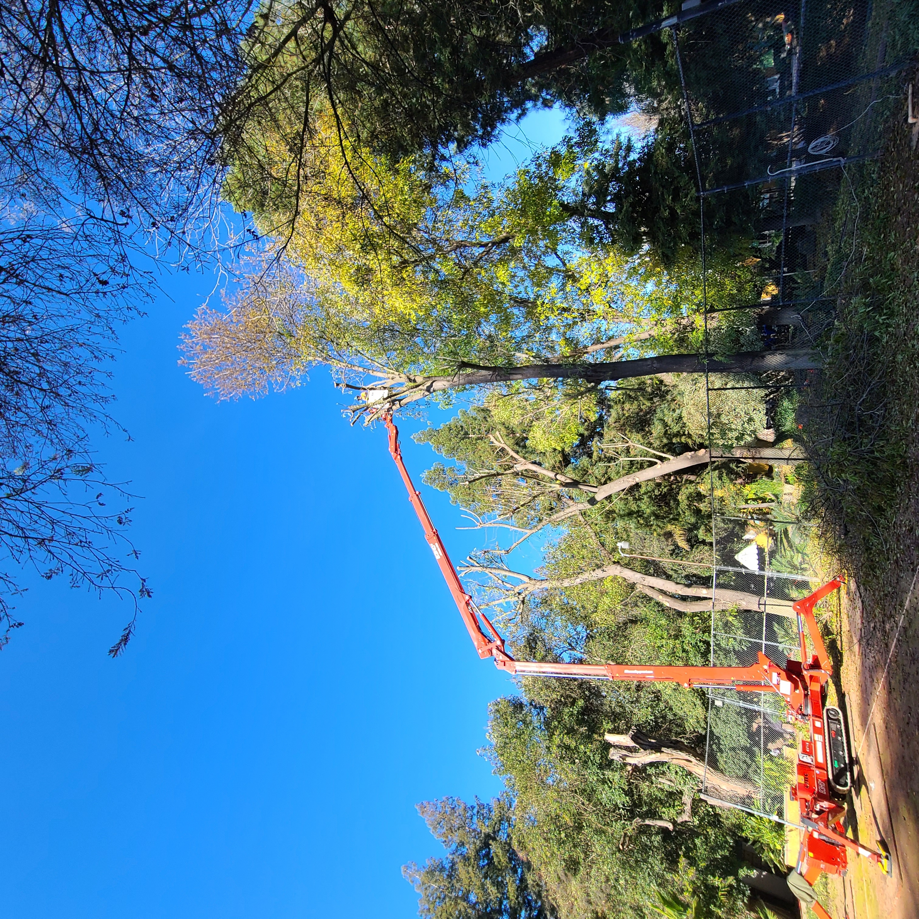 Avatar for John N Eddie's Tree Care