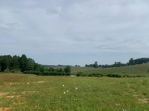 Avatar for MG Painting Service LLC