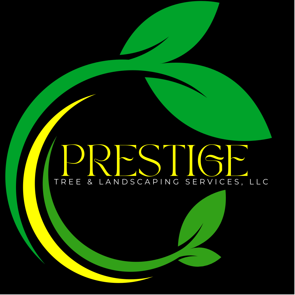 Avatar for PRESTIGE TREE & LANDSCAPING SERVICES LLC