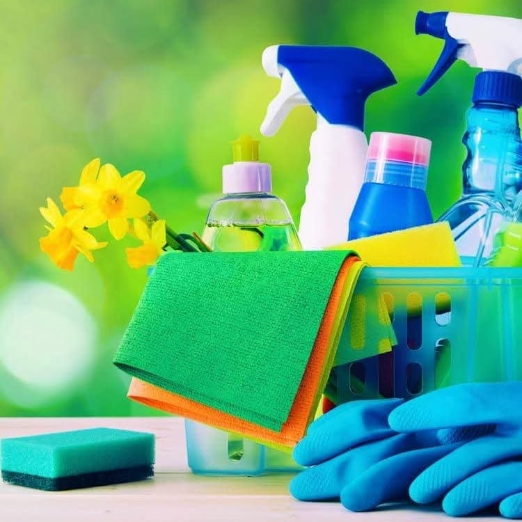 Avatar for Dream Cleaning NC LLC