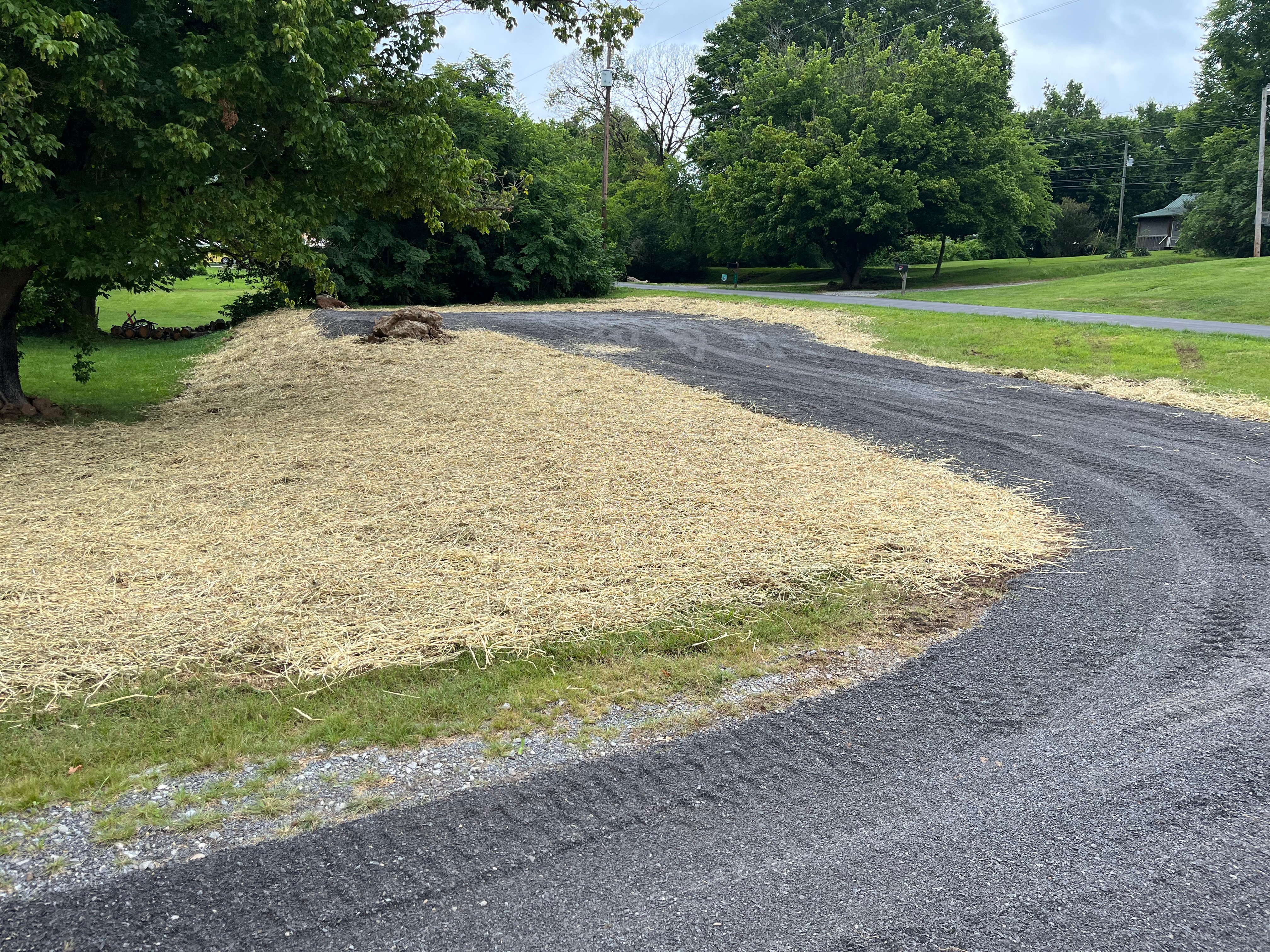 Avatar for Blackjack Land Management