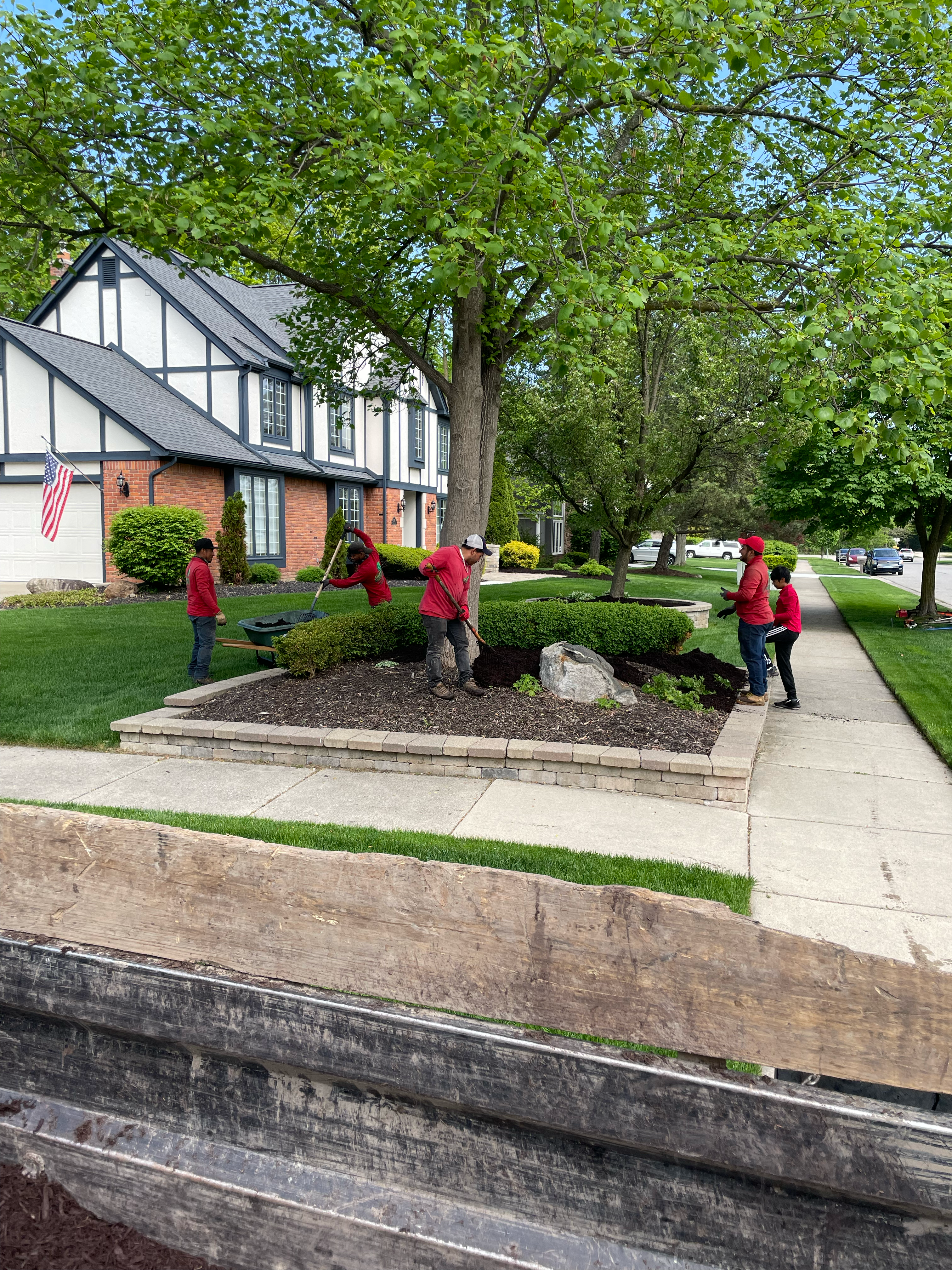 Avatar for Johnny's Tree Service