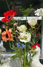 Avatar for Simply clean