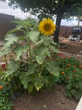 Avatar for Mary Perea