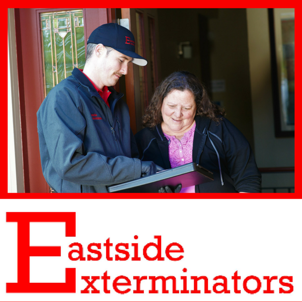 Avatar for Eastside Exterminators