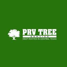 Avatar for PRV Tree Service