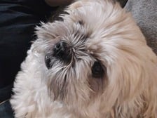 Logo for Freedom Contracting