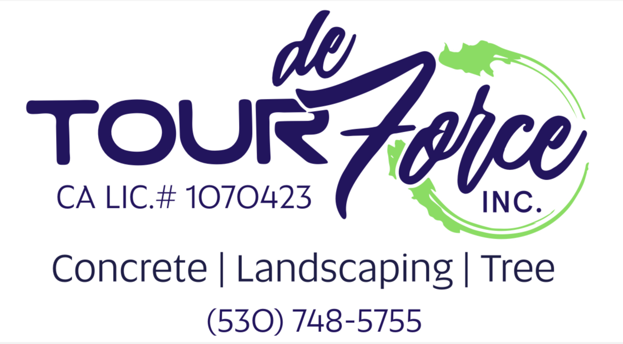 Logo for Tour De Force Concrete